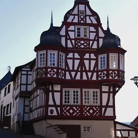 Apartment Gemütliche Mit Sauna&terrasse Monzingen
